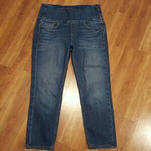 Spanx Signature Capri denim